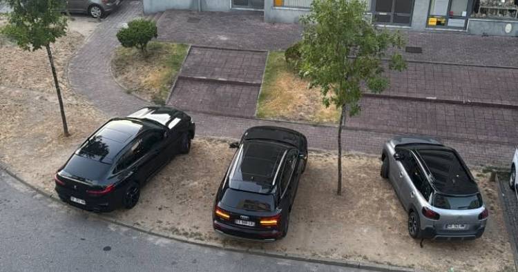 Braga estreou um parque de estacionamento em versão safari
